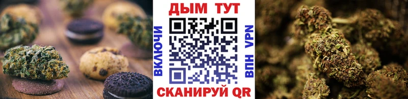 ссылка на мегу ССЫЛКА  закладка  Новозыбков  Еда ТГК конопля 