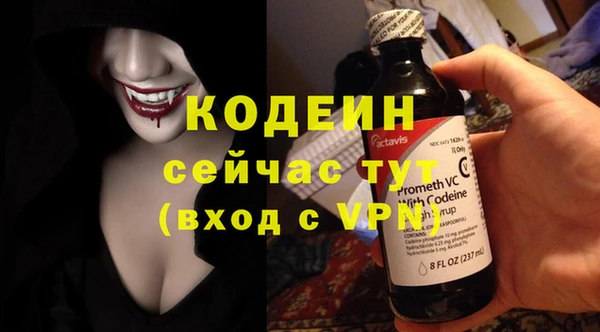 стаф Бородино