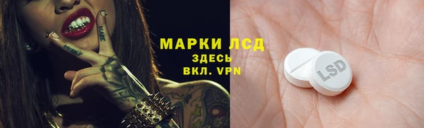 стаф Бородино