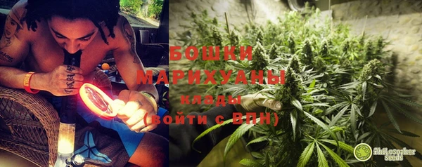 стаф Бородино