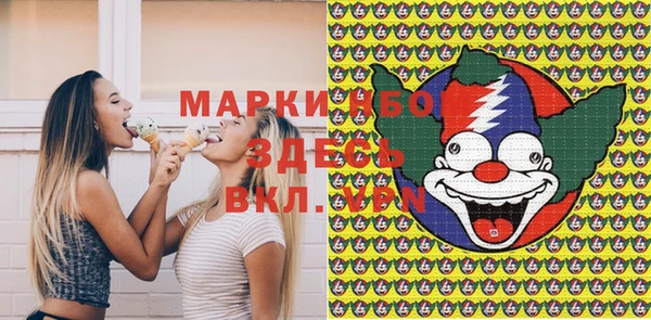 стаф Бородино