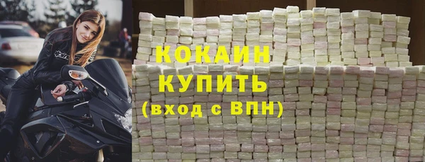 стаф Бородино