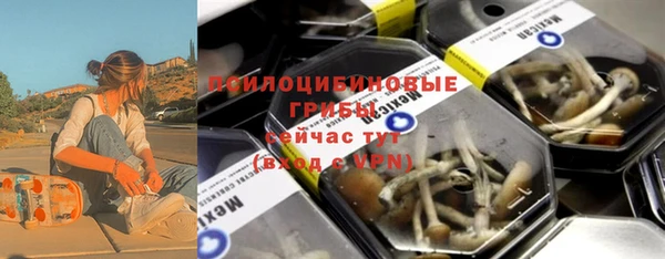 стаф Бородино