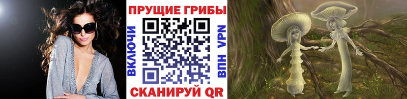 Псилоцибиновые грибы Psilocybe  Новозыбков 